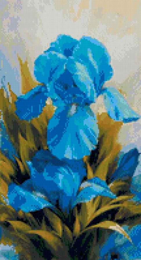 Ирис - голубой, цветы, ирис - предпросмотр