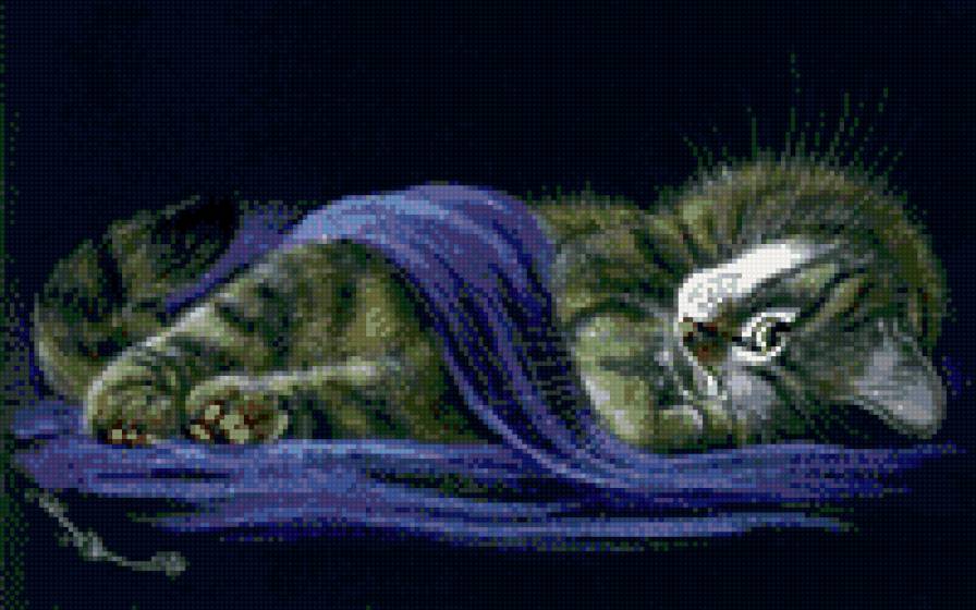 котик спит - голубой, кот, ночь - предпросмотр