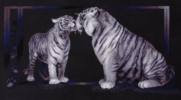 тигриная любовь - животные - оригинал