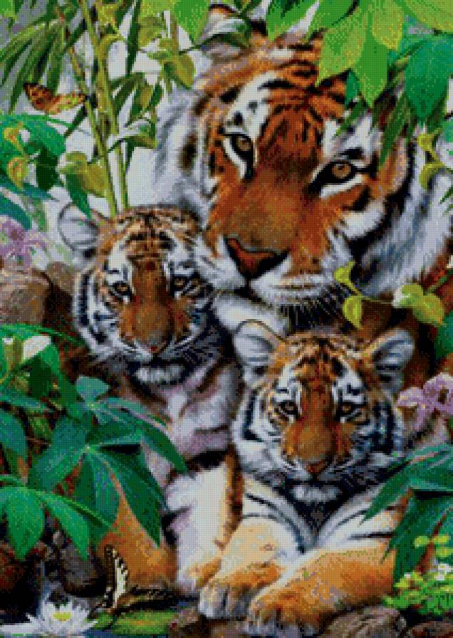 семейство - дикие животные, тигр - предпросмотр