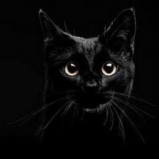Оригинал схемы вышивки «черная кошка» (№749417)