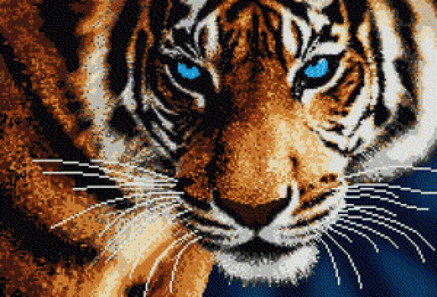 Тигр - тигр, животные - предпросмотр