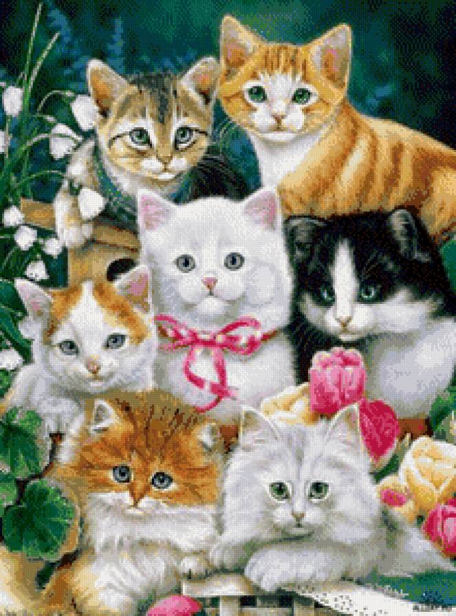 кошечки - кот, кошка, животные, кошечка, котик, кошки - предпросмотр