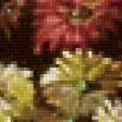 Предпросмотр схемы вышивки «Хризантемы» (№750121)