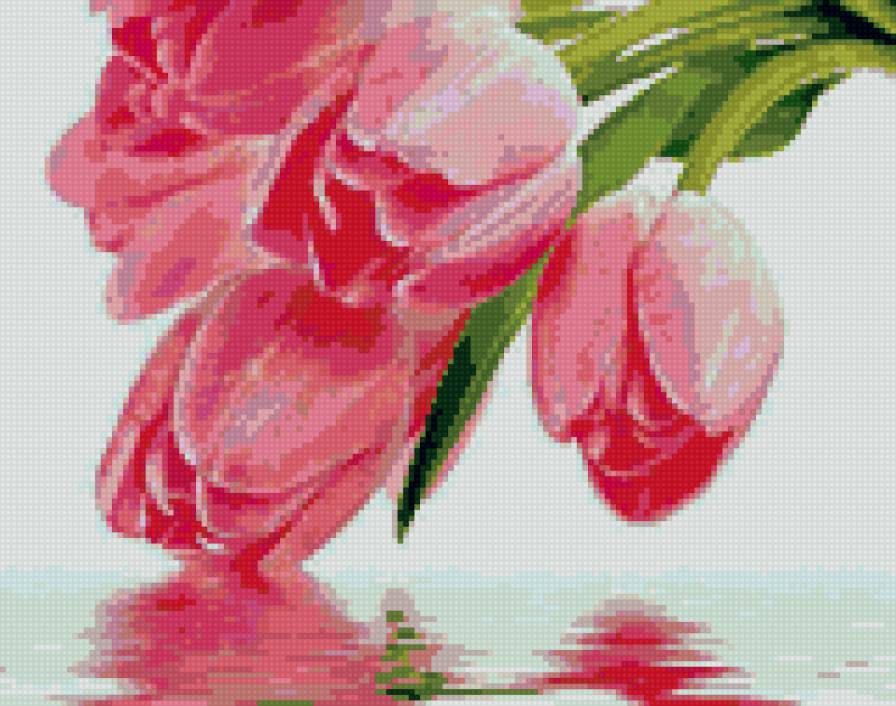 Тюльпаны - вода, тюльпаны, отражение, цветы, букет - предпросмотр