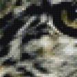 Предпросмотр схемы вышивки «леопард» (№750398)