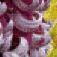 Предпросмотр схемы вышивки «Её Величество Хризантема» (№750774)