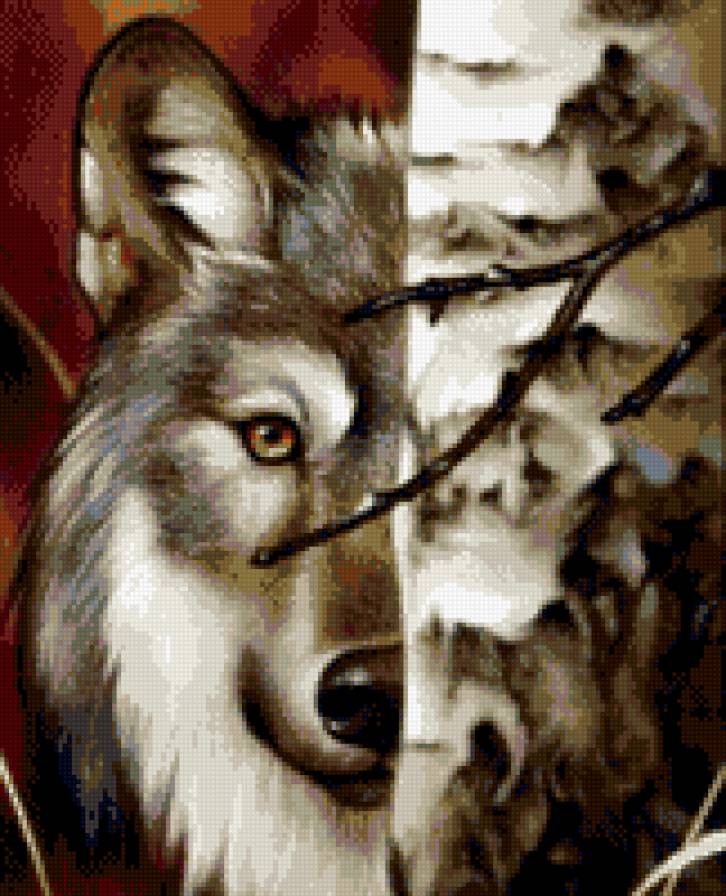 Волк - звери, волк, животные - предпросмотр