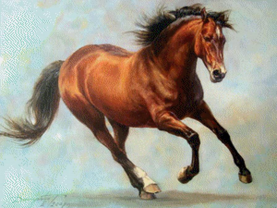 Животные (лошадь) - животные лошадь - предпросмотр