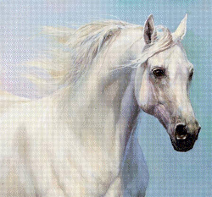 Белая лошадь - белая лошадь - предпросмотр