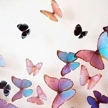 Схема вышивки «Цветные бабочки»