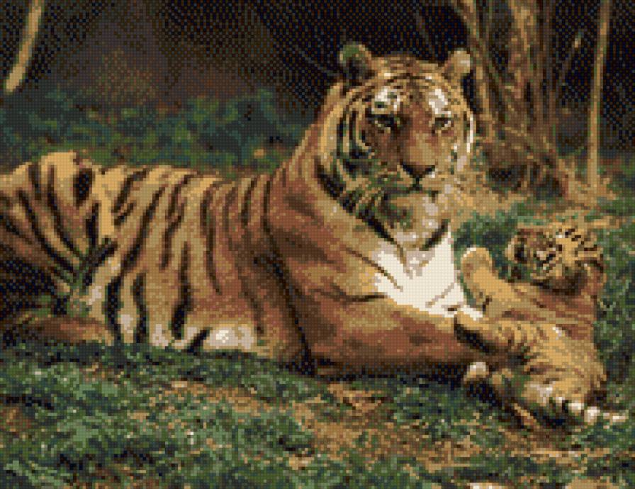 Тигры - семья, тигренок, тигр - предпросмотр