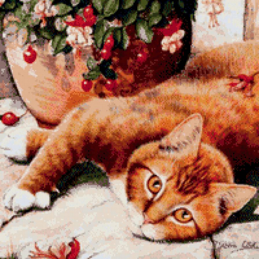 Рыжий кот - рыжий, кот, кошка, цветы - предпросмотр