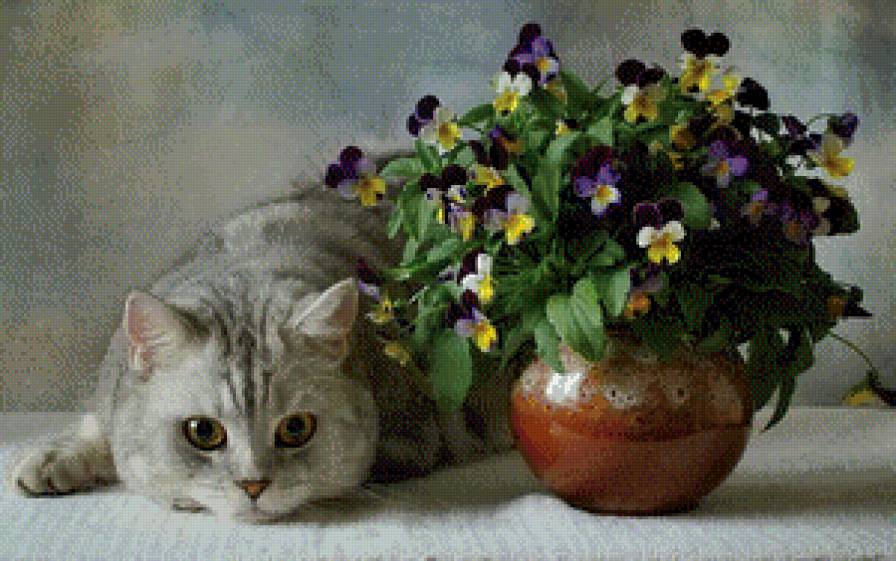 кот и анютины глазки - натюрморт, анютины глазки, кот, цветы - предпросмотр