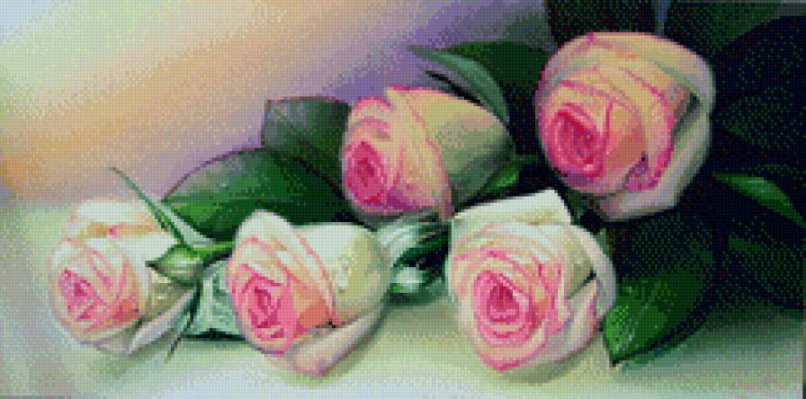 Прекрасные розы - букет, цветы, розы - предпросмотр