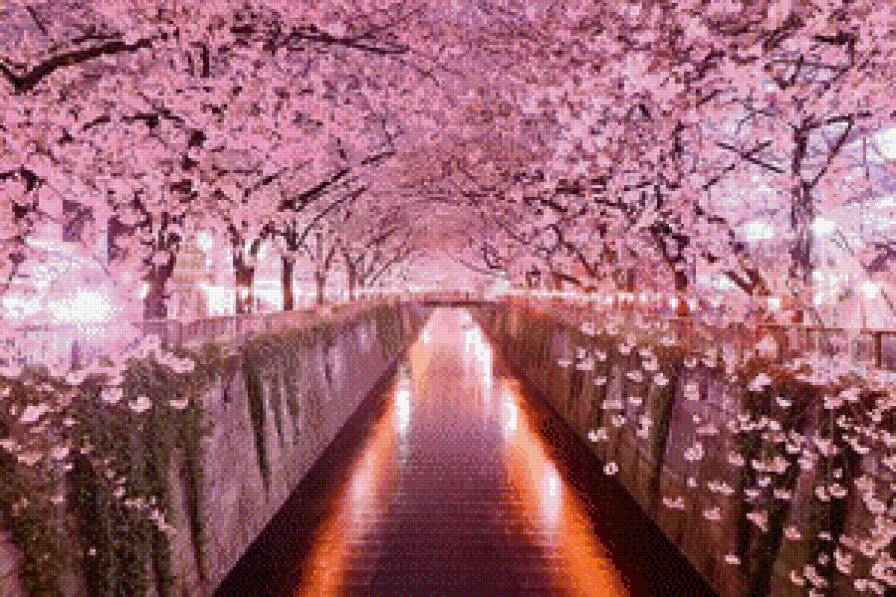 Тоннель из сакуры, Япония. - япония, сакура, цветение., природа, красота - предпросмотр