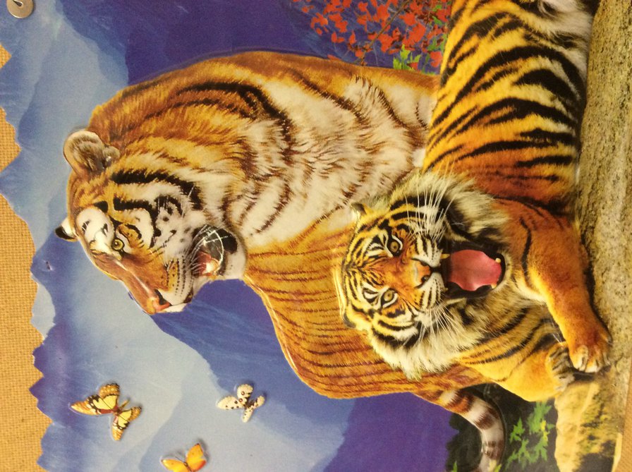 Тигры - горы, тигр, животные - оригинал