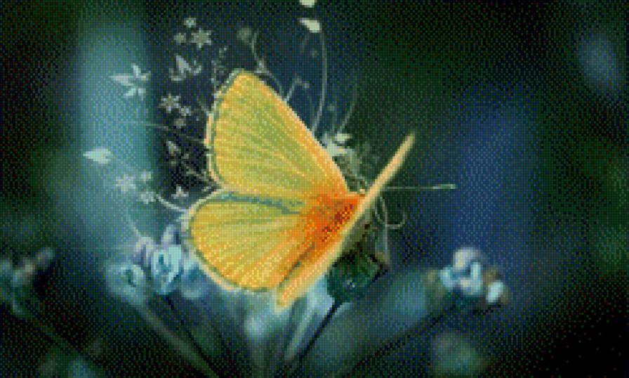 Бабочка - цветы, бабочка, красиво, природа - предпросмотр
