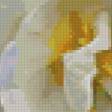 Предпросмотр схемы вышивки «свадебные цветы» (№754488)