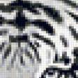 Предпросмотр схемы вышивки «Леди с тигром...» (№755006)
