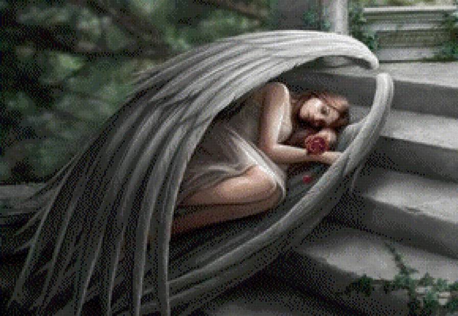 Ангел спит - крылья, девушка, сон, сказка - предпросмотр