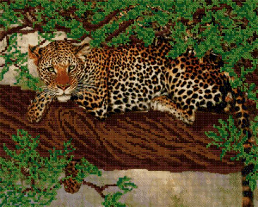Леопард - животные, леопард - предпросмотр