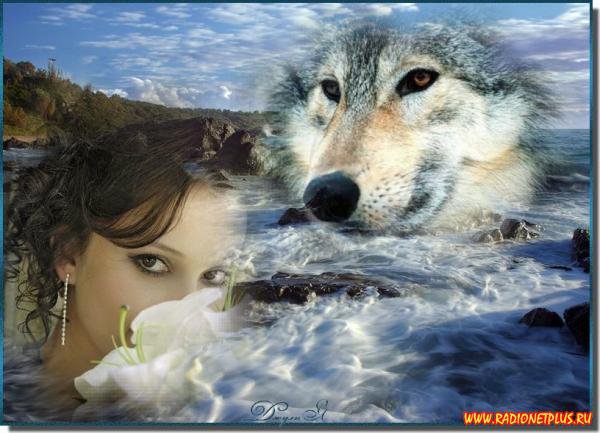 девушка и волк - девушка, волк, животные - оригинал