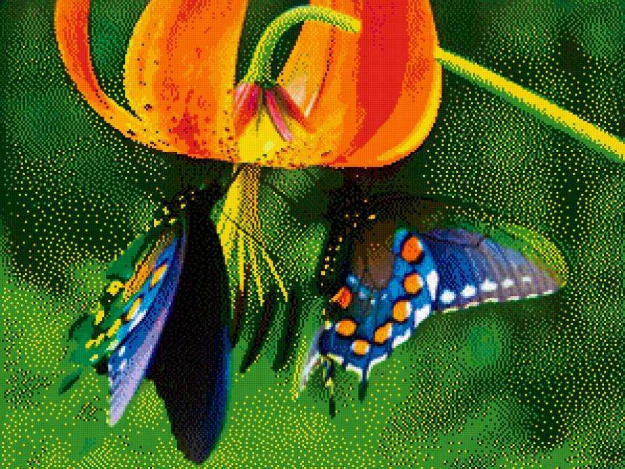 Бабочки на цветке - цветы, бабочки, красота, природа - предпросмотр