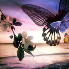 Цветущая ветка и бабочки