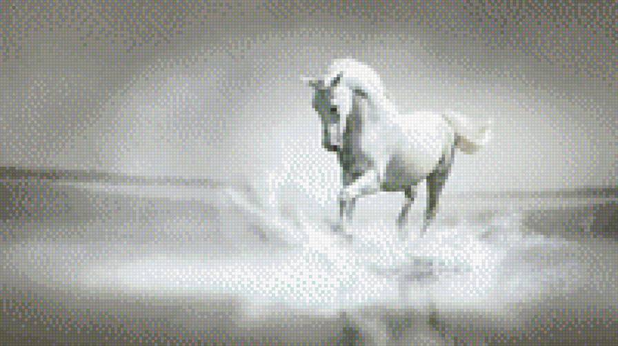 белая лошадь - лошадь, животные - предпросмотр