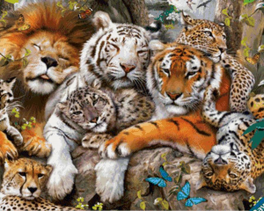 хищники - тигр, дикие животные, лев, леопард - предпросмотр