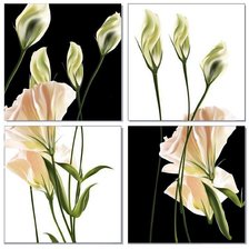 Оригинал схемы вышивки «цветы» (№756401)
