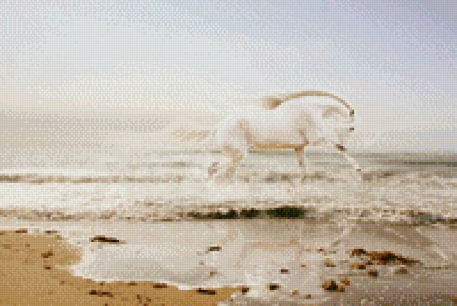 белая лошадка - лошадь, животные - предпросмотр