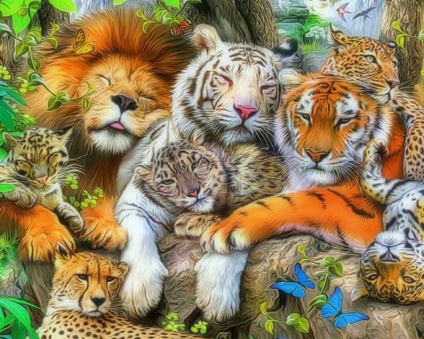 дружба животных - лев тигр леопард кошки джунгли - оригинал