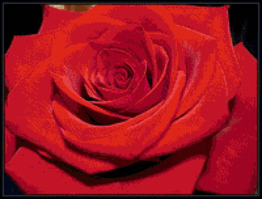 Красная роза - сумка, цветы, подушка - предпросмотр