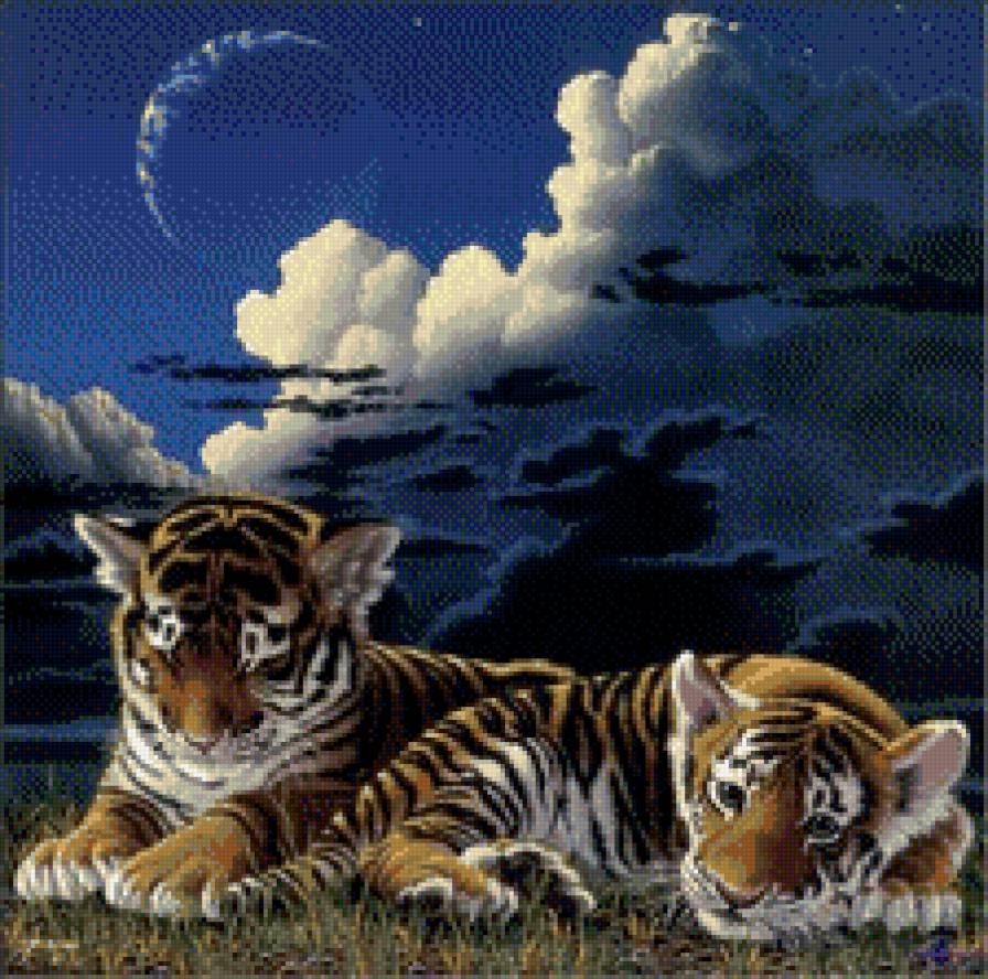 тигрята - фентези, небо, тигренок, животные, тигр, ночь, кошки, хищники - предпросмотр
