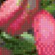 Предпросмотр схемы вышивки «розовая лилия» (№757271)