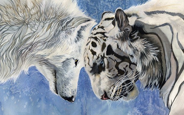Два хищника - волк, животные, хищник, тигр - оригинал