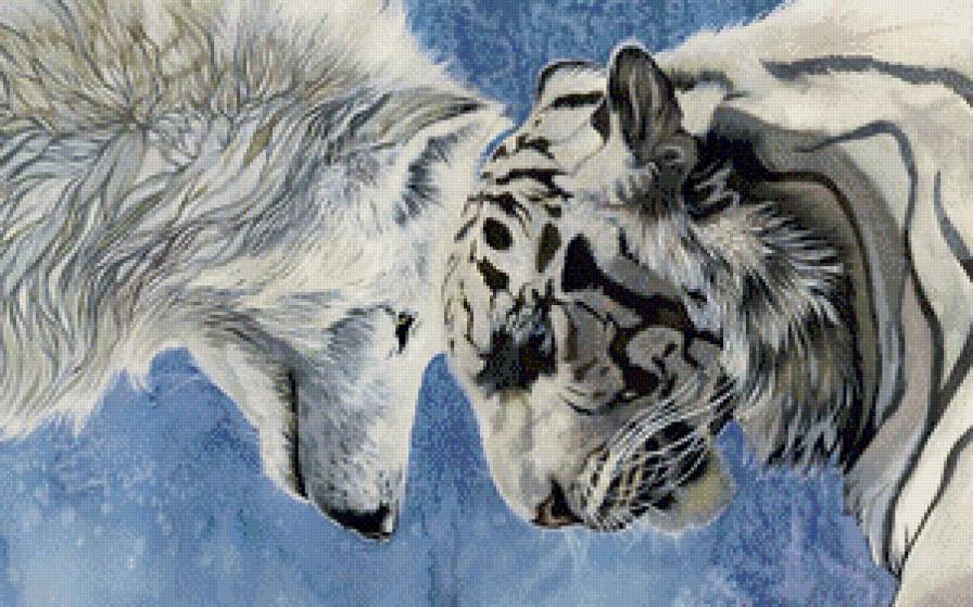 Два хищника - животные, хищник, тигр, волк - предпросмотр