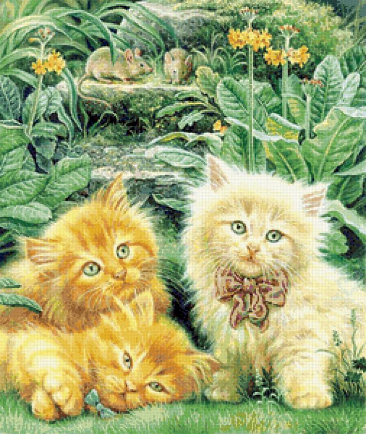 Солнечные котята - кошки, животные, котята - предпросмотр