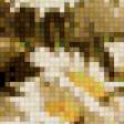 Предпросмотр схемы вышивки «ромашки в коричневых тонах» (№757553)