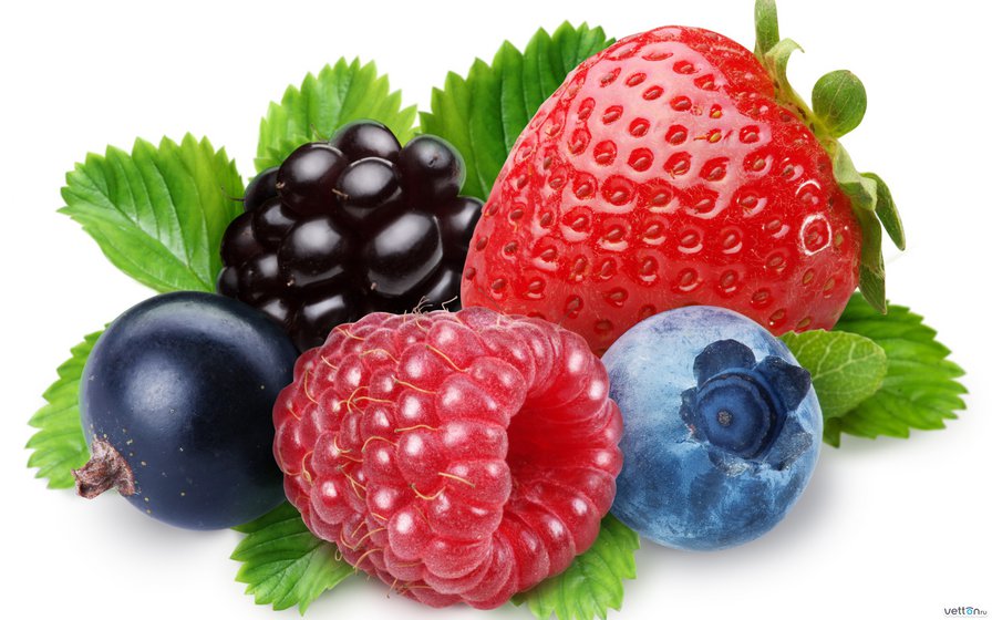 Ягодный микс - фрукты, лето, ягоды, еда - оригинал