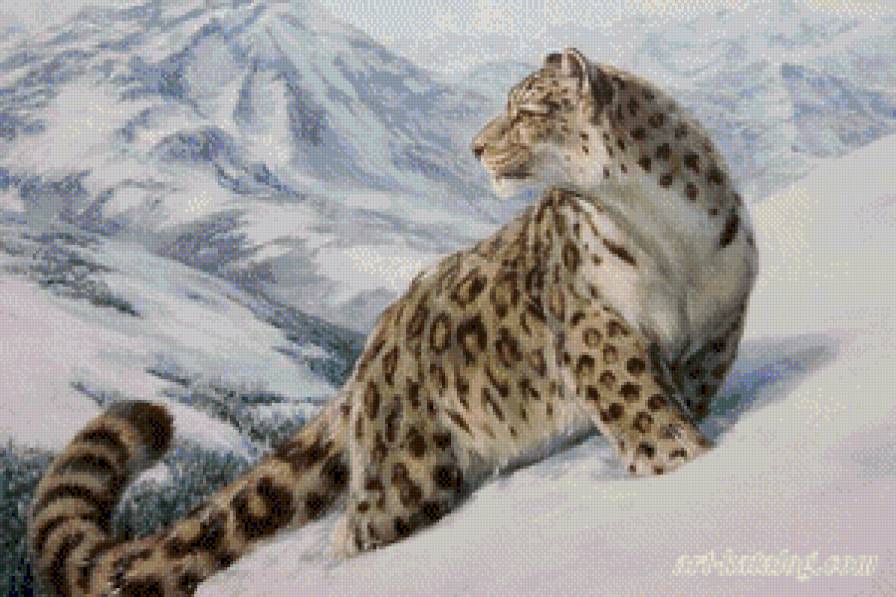 Снежный барс - животные, природа - предпросмотр