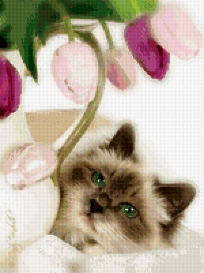 кот с тюльпанами - кот, цветок, тюльпаны, кошка - предпросмотр