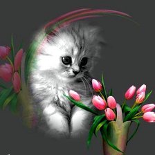 котенок с тюльпанами