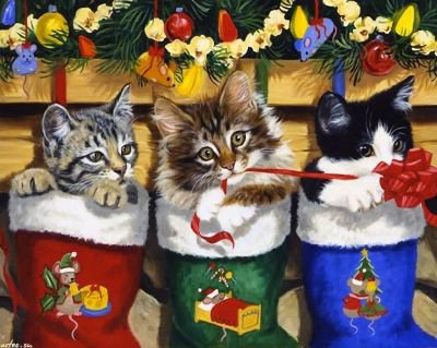 котики - новый год, животные, кошки, кошка, кот, котята, котик - оригинал