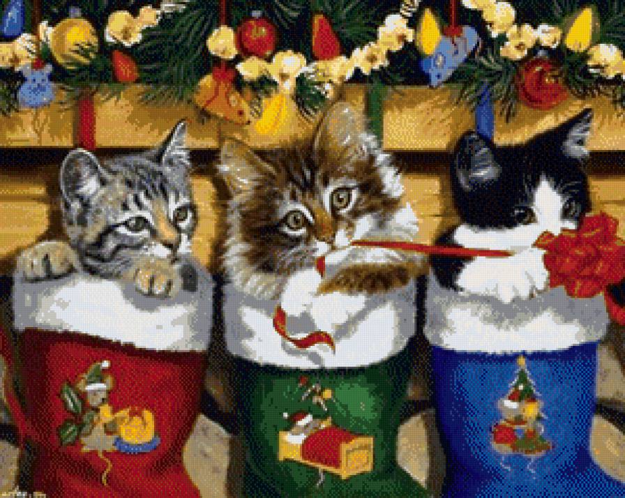 котики - кошки, новый год, котик, животные, кот, котята, кошка - предпросмотр
