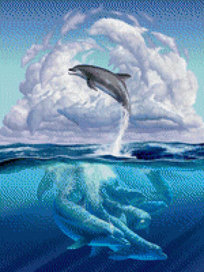 дельфины - природа, животные - предпросмотр