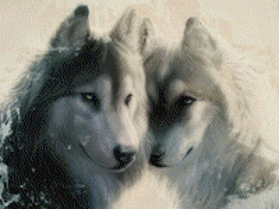 волки - животные, волк, природа - предпросмотр