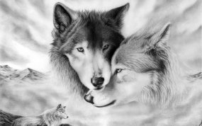волки - нежность, животные, волки, семья - оригинал